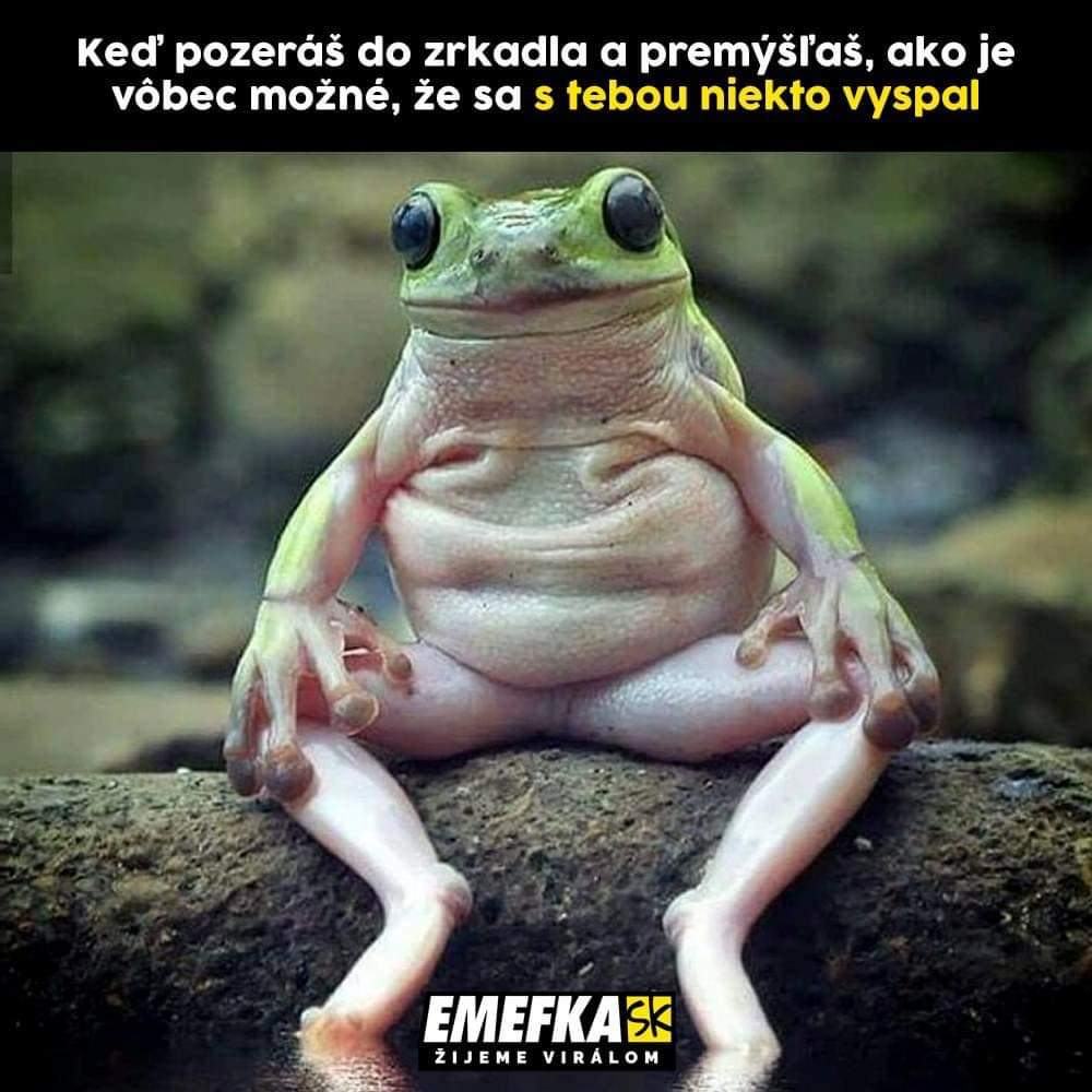 Obrázek zabakova dobrodruzstvi