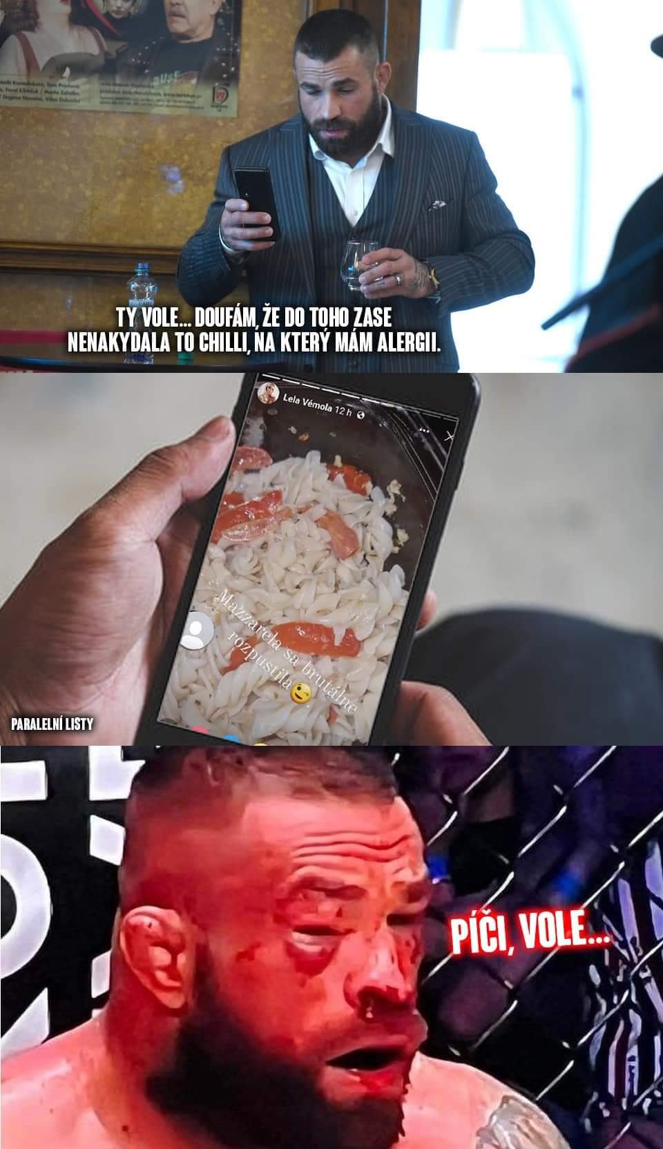 Obrázek zadne kari