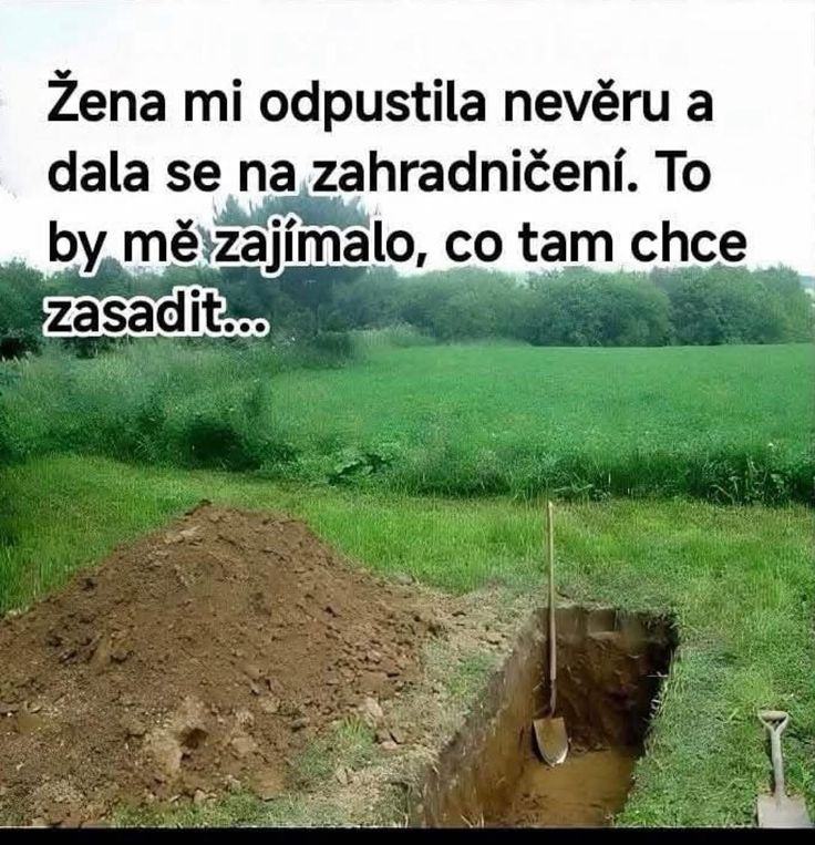 Obrázek zahradnicit