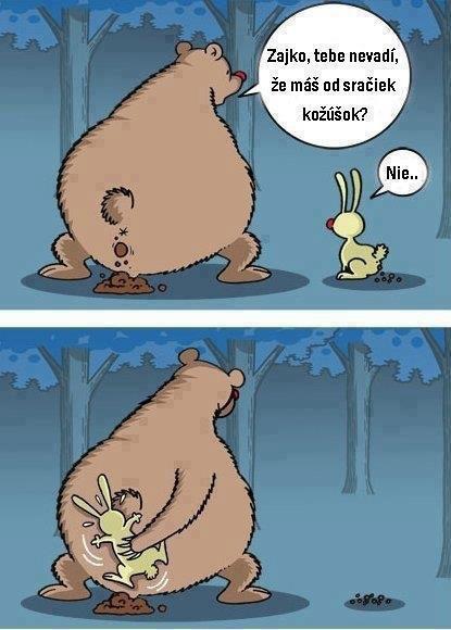 Obrázek zajko tebe 