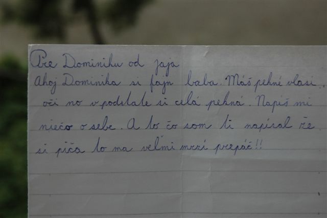 Obrázek zamilovany list