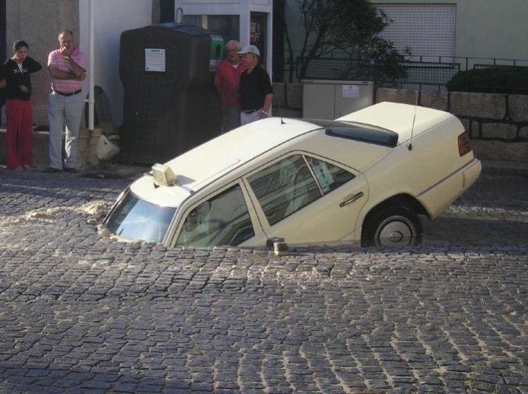 Obrázek zaparkoval medveda