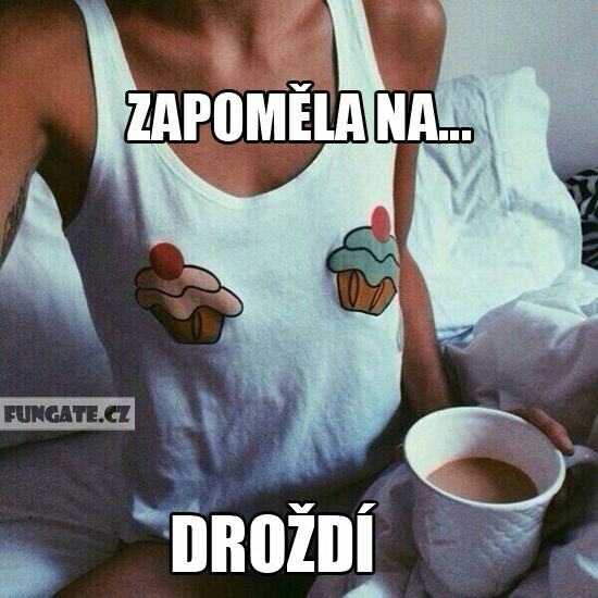 Obrázek zapomela na drozdi