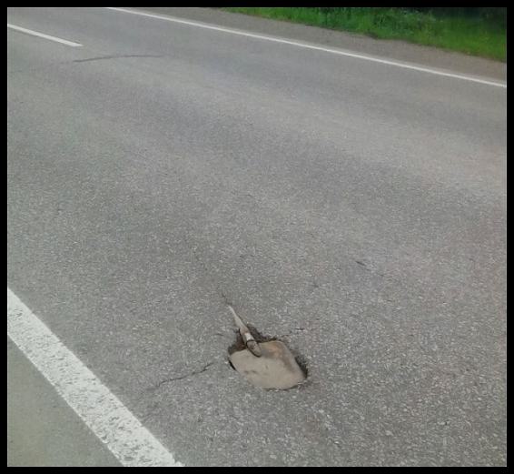 Obrázek zapomneli    