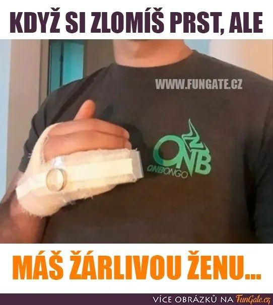 Obrázek zarzen