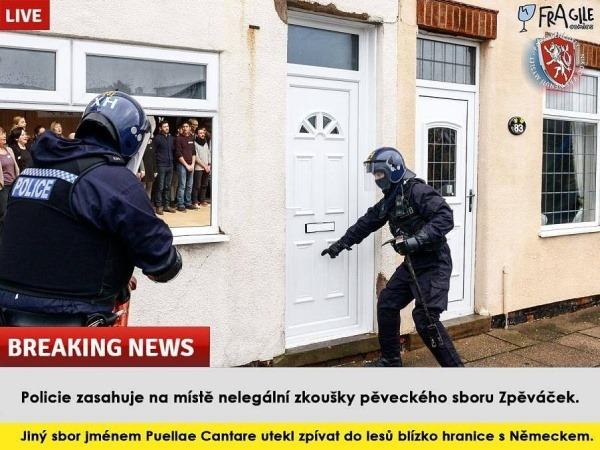 Obrázek zasah-policie