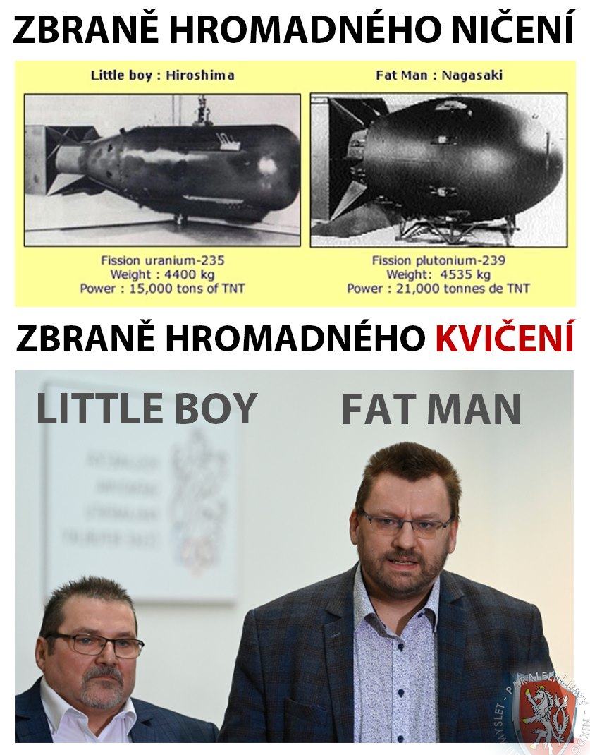 Obrázek zbrane hromadneho kviceni