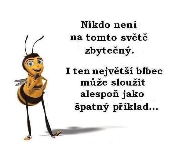 Obrázek zbytecny