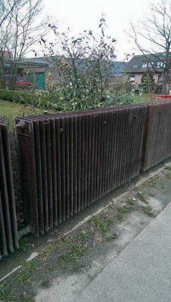Obrázek zebrovany plot