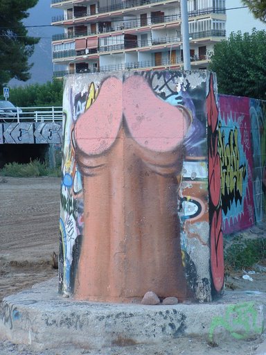 Obrázek zed s penisem