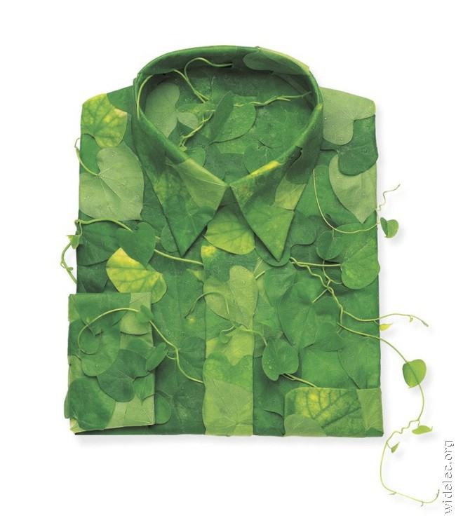 Obrázek zelena kosile