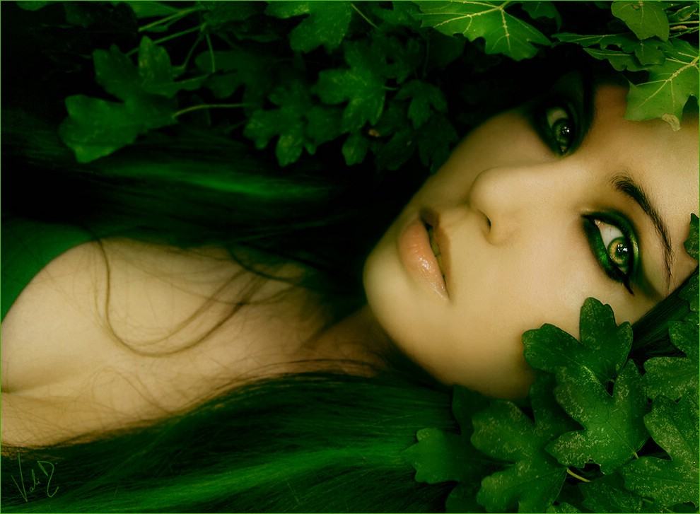 Obrázek zelena lesni panna