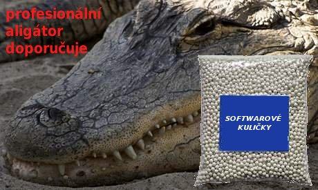 Obrázek zemanaligator