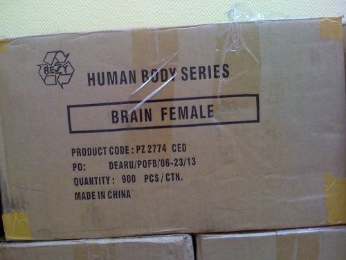 Obrázek zenske mozky jsou z Ciny