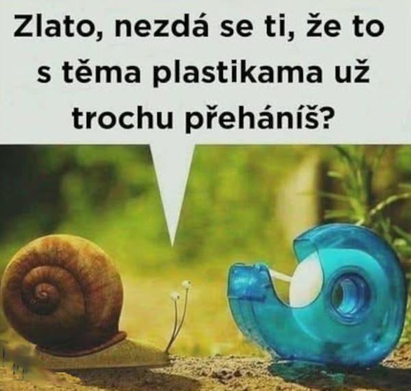 Obrázek zeny su umelohmotne krasne