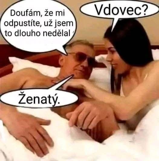 Obrázek zevdo