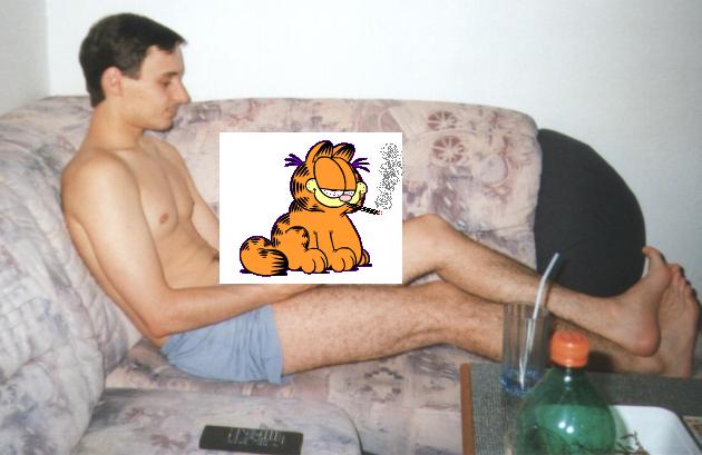 Obrázek zhulenej garfield na roumenovi