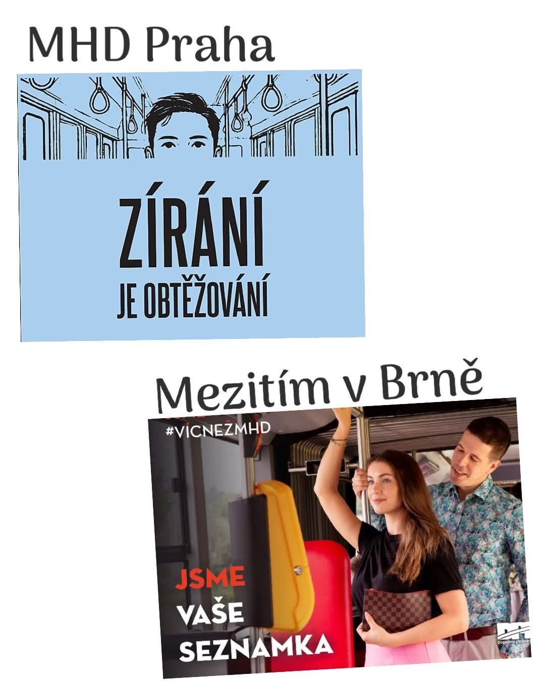 Obrázek zirani v Brne