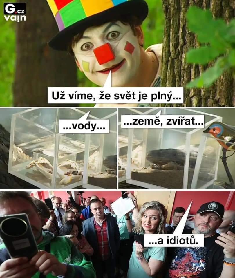 Obrázek zitkovci