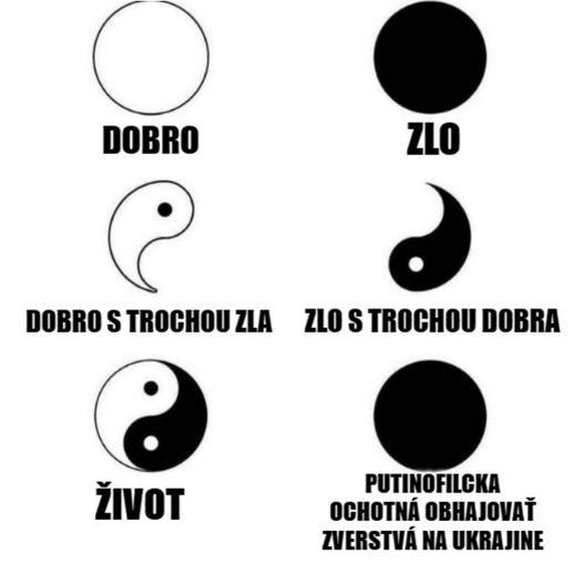 Obrázek zivot a jing jang