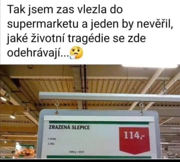 Obrázek zivotni tragedie