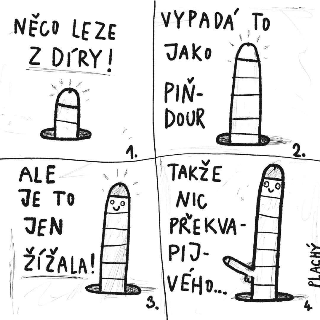 Obrázek zizalak