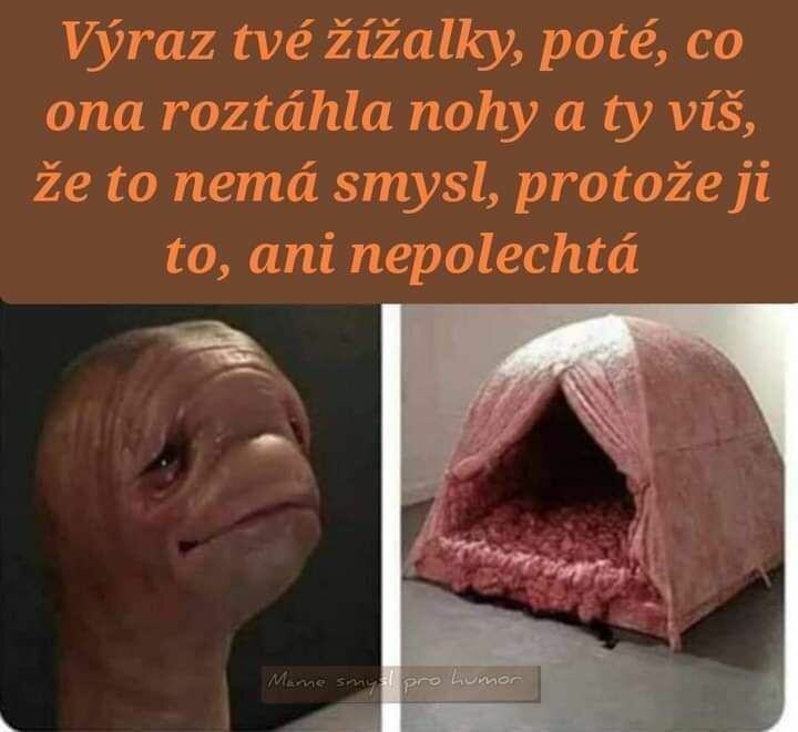 Obrázek zizalka nepolechta