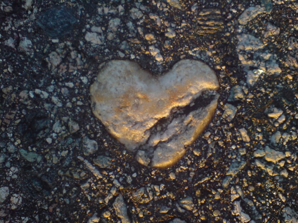 Obrázek zkamenele srdce 