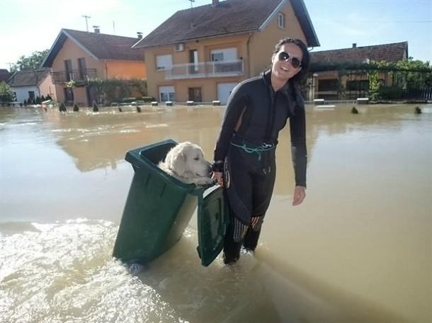 Obrázek zkose ven