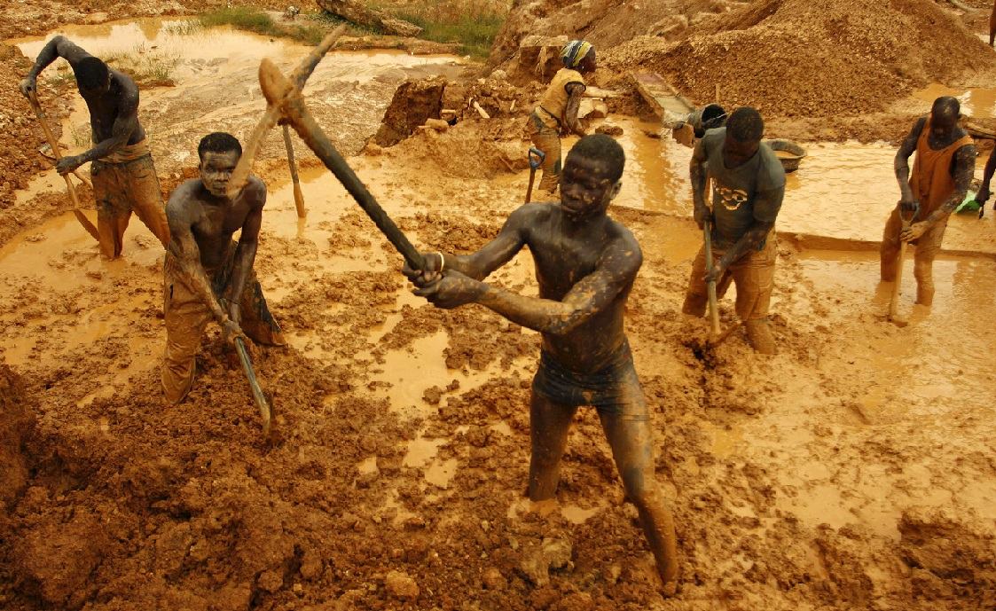 Obrázek zlatouskove