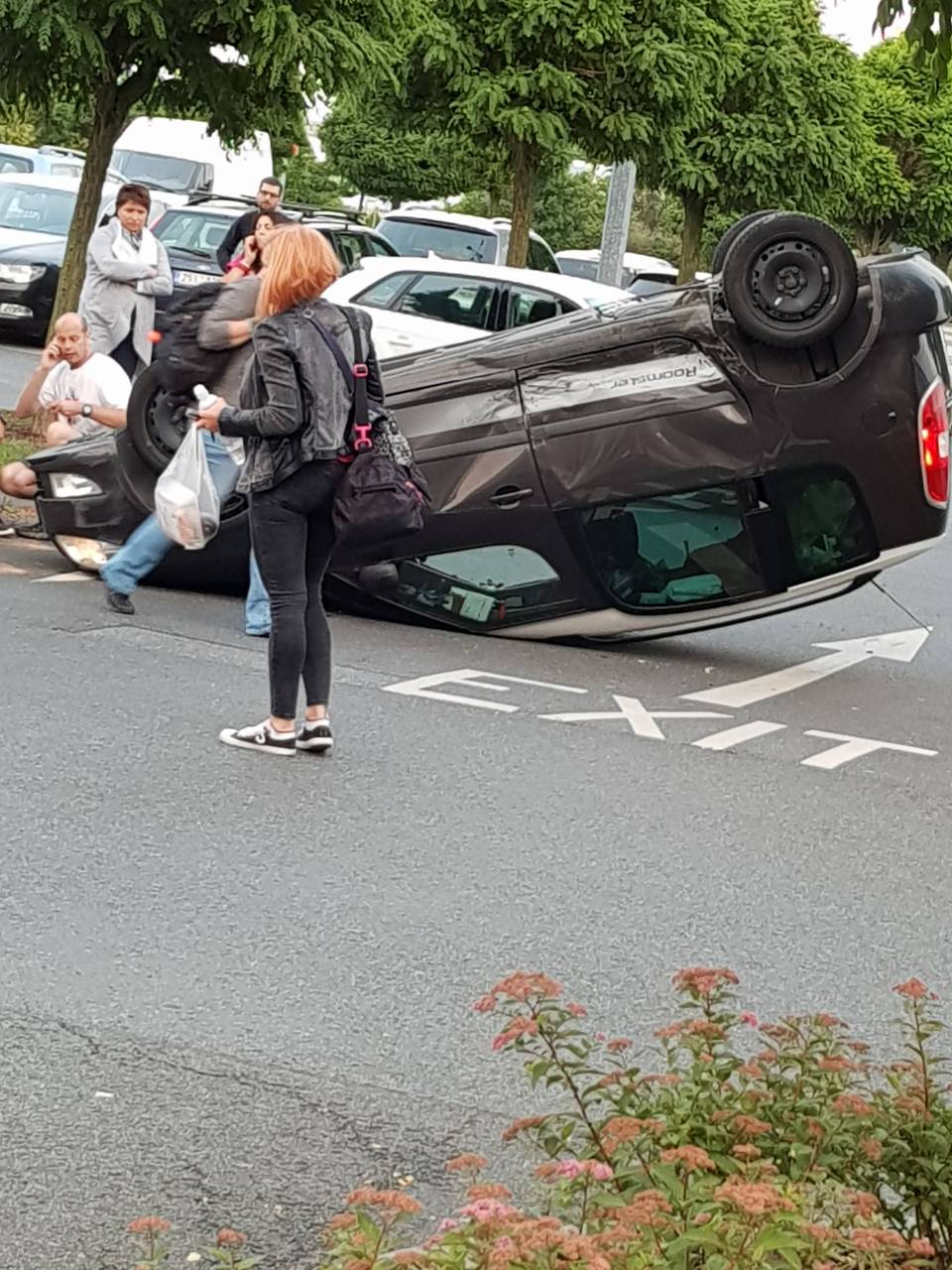 Obrázek zlicin pakroviste