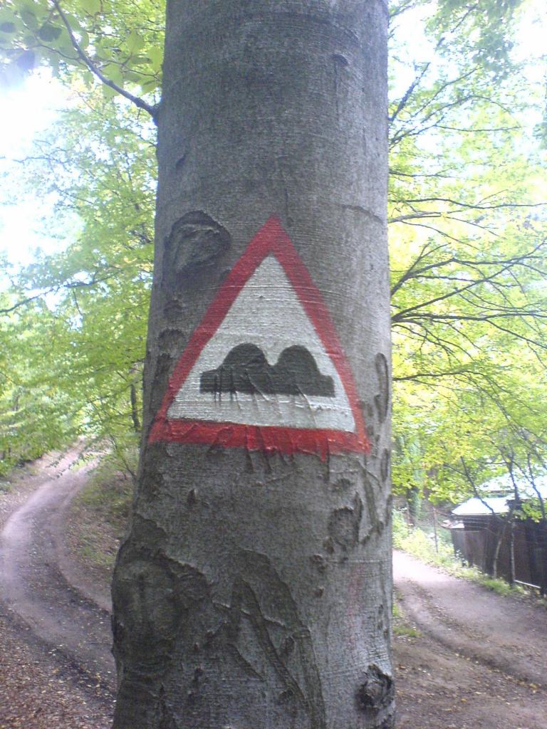 Obrázek znacka na strome