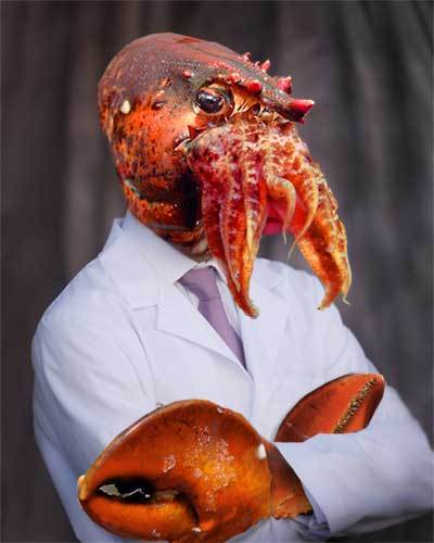 Obrázek zoidberg IRL