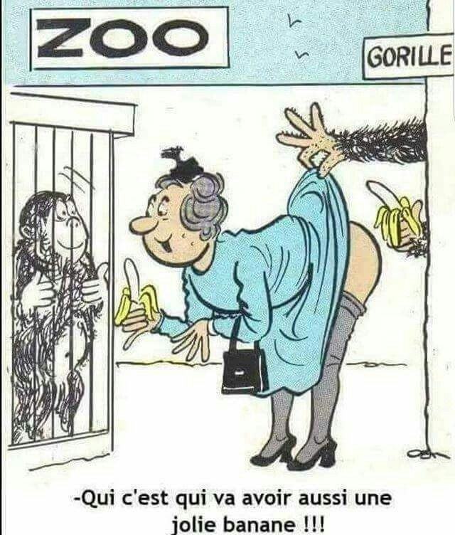 Obrázek zoobanan