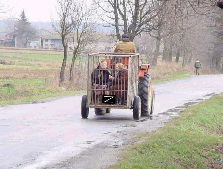 Obrázek zpecial forces