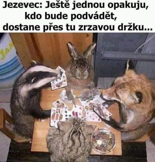 Obrázek zrzava drzka