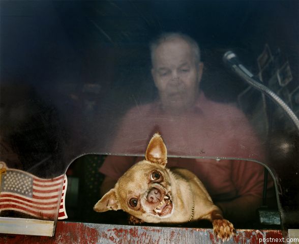 Obrázek zuriva chivava