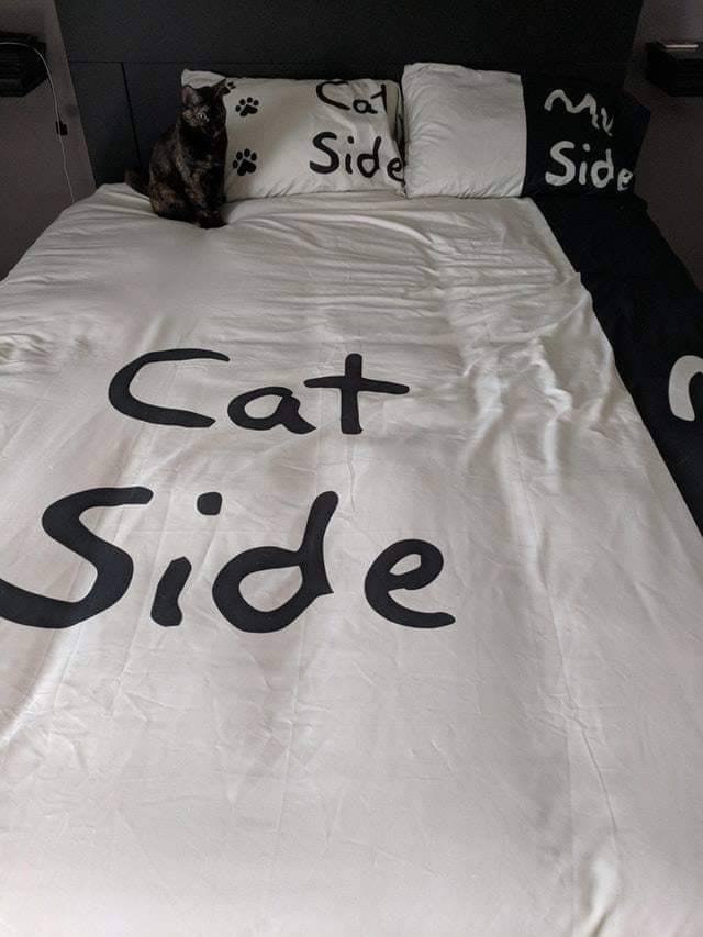 Obrázek zviera m Tumblr l 397844582901044