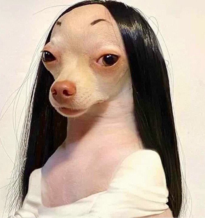 Obrázek zviera&nbsp;p&nbsp;Tumblr&nbsp;l&nbsp;4150902261435