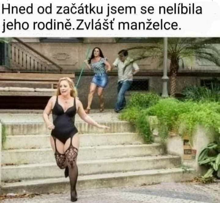 Obrázek zvlast zast