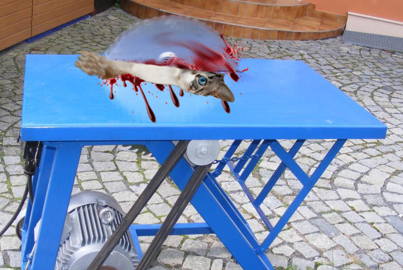 kocici_konzervy.jpg kocici_konzervy.jpg