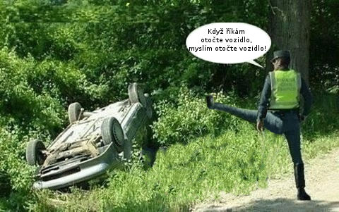 otocit.jpg otocit.jpg