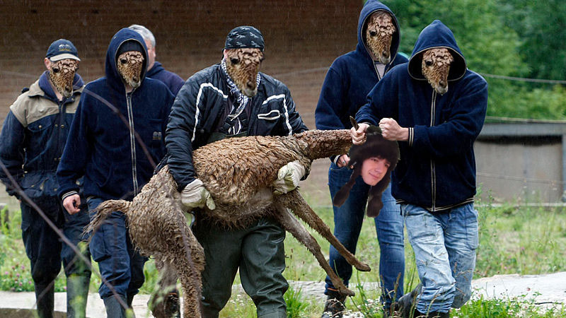 lamy_quickfix.jpg lamy_quickfix.jpg