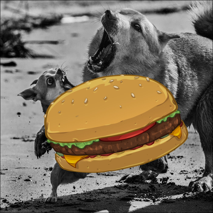 digshamburger.jpg digshamburger.jpg