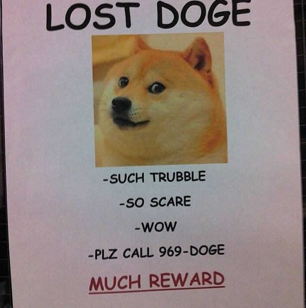 doge.jpg doge.jpg