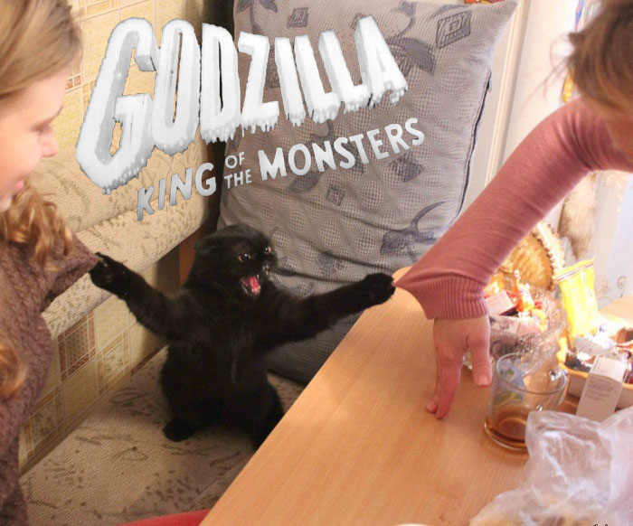 cat.jpg cat.jpg