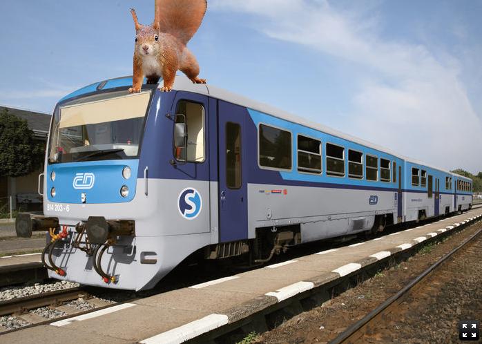 vlakoveverka.JPG