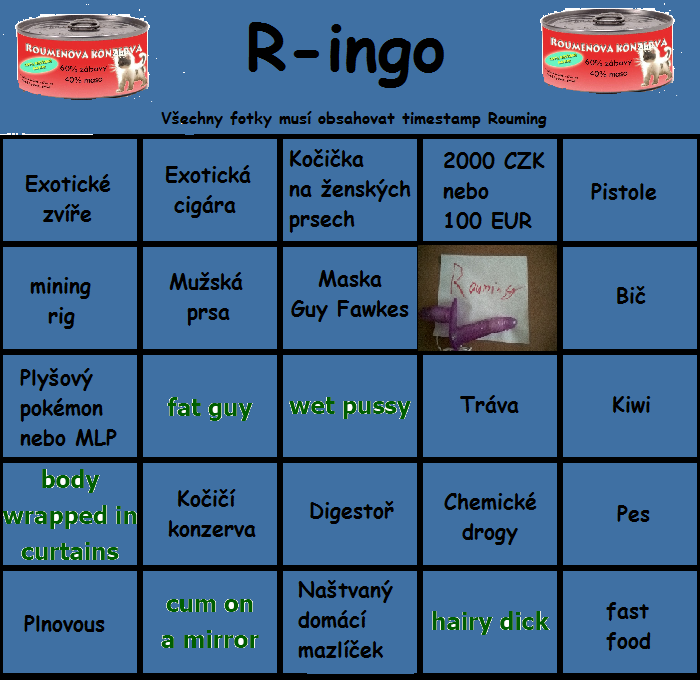 14621Ringo.png