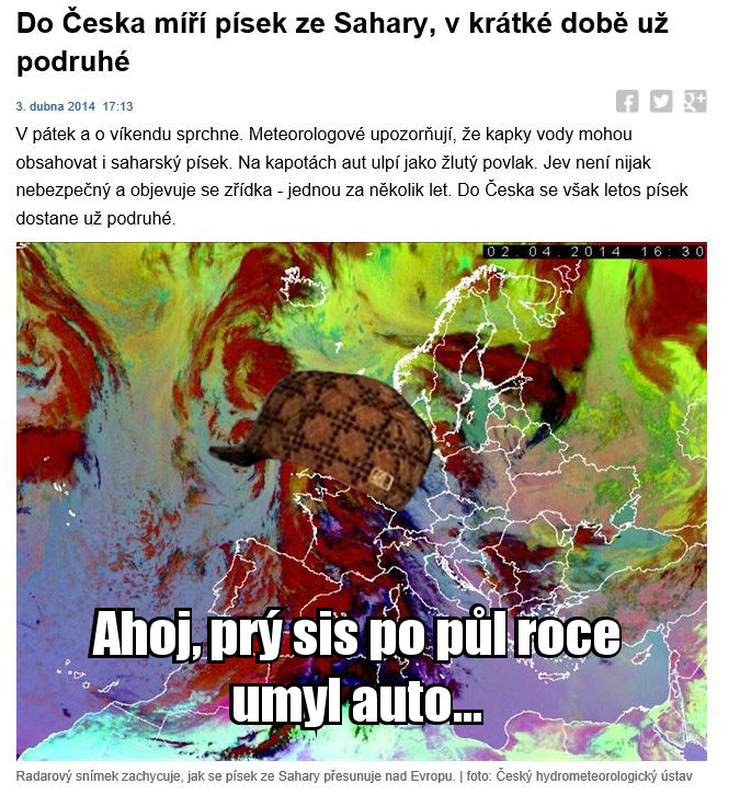 vole.jpg vole.jpg