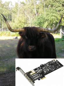 hadanka.png hadanka.png